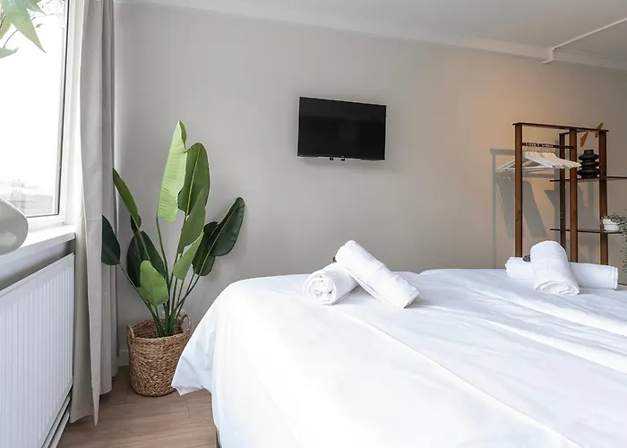 Affordable Walk In Nature Tilburg